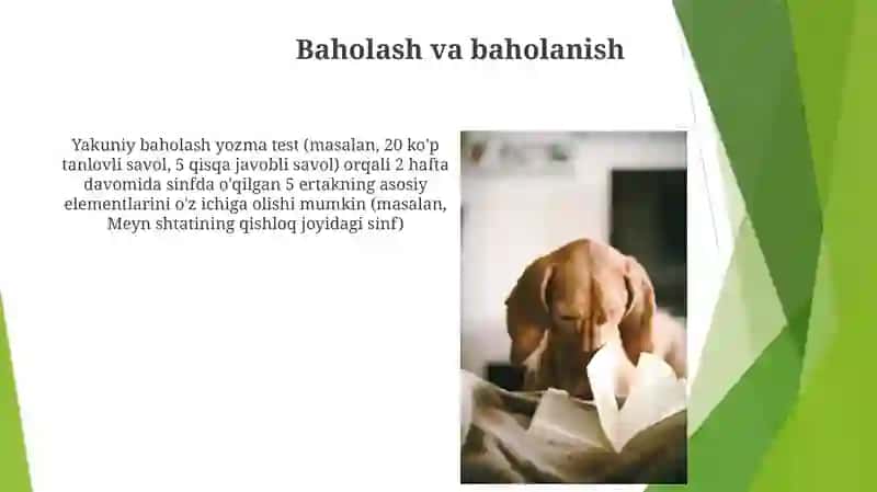 Baholash va baholanish 3