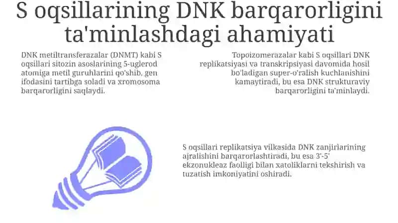 DNK molekulasining hosil bo'lishida S oqsillarning o'rni 3