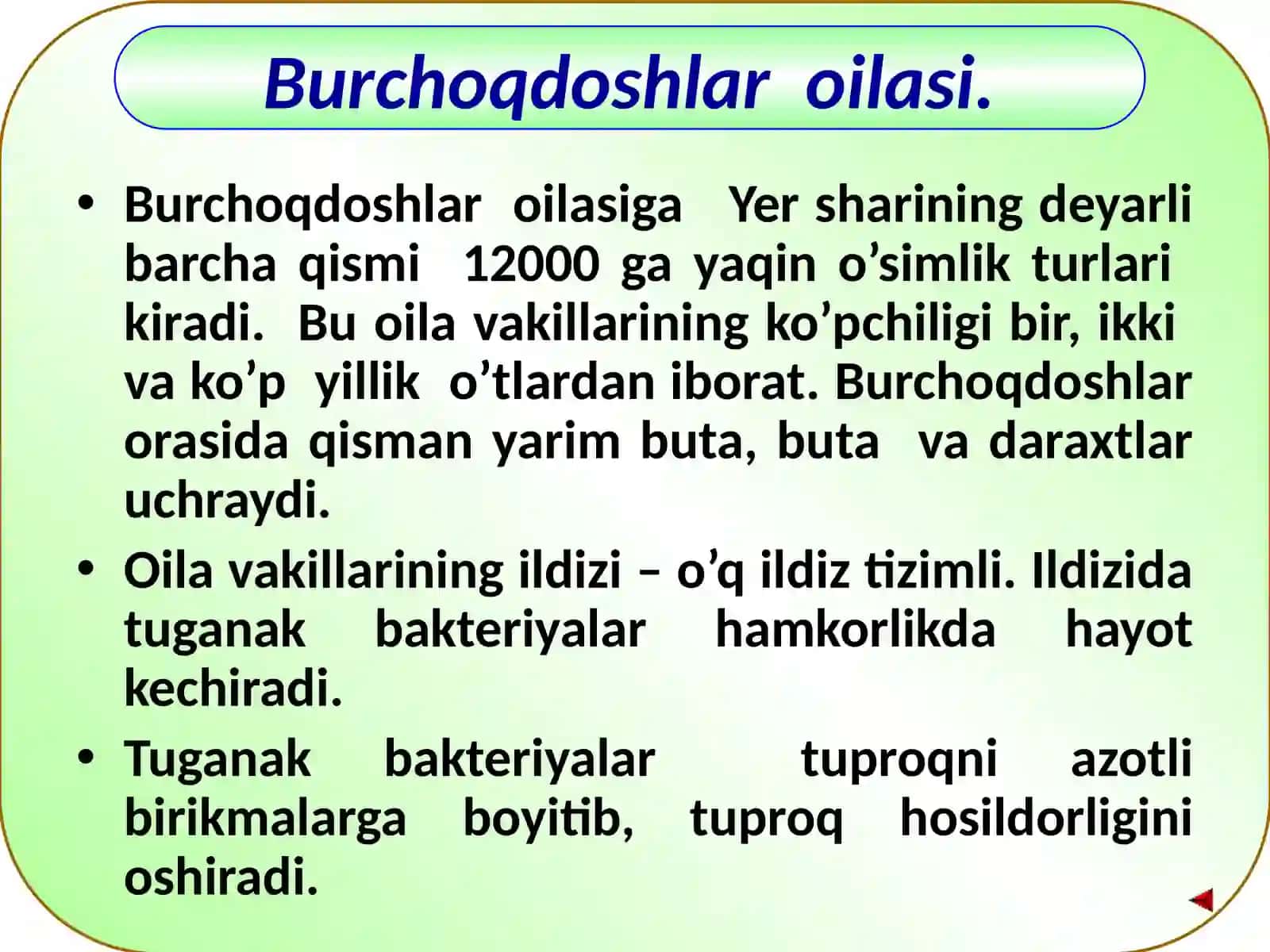 BURCHOQDOSHLAR(DUKKAKDOSH) LAROILASI 3
