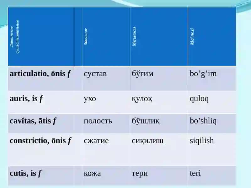 Jenskiy roddagi otlar 3