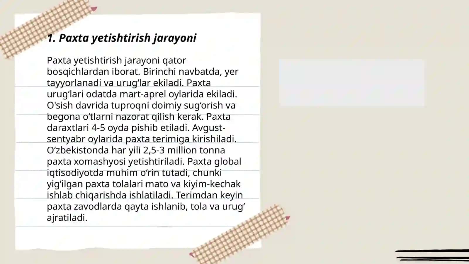Paxta yetishtirish jarayoni 3