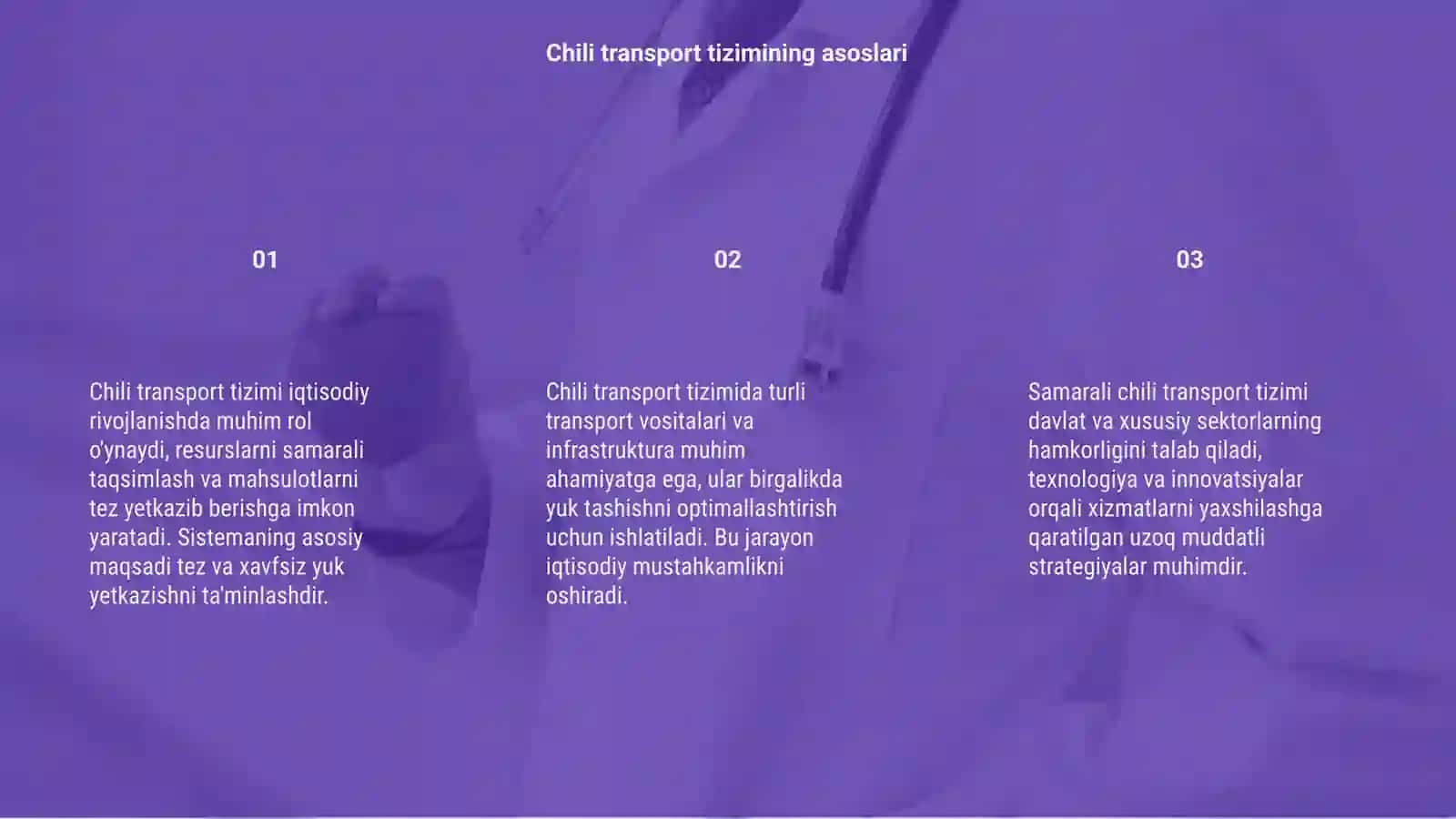Chili transport tizimi 3