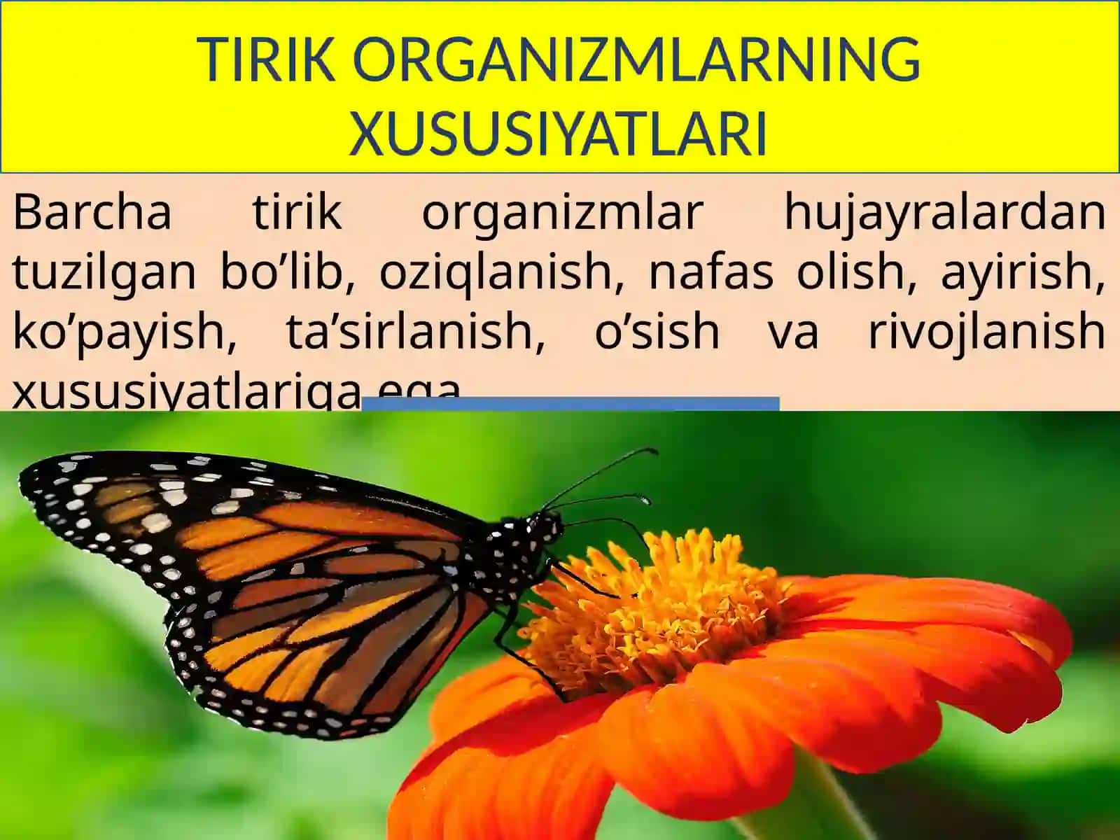Tirik organizmlarning klassifikatsiyasi 3