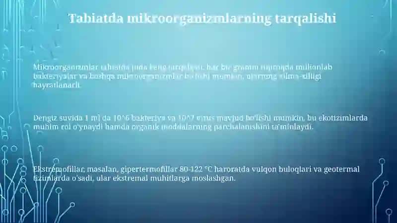 Mikroorganizmlarning tabiatdagi tarqalishi 3