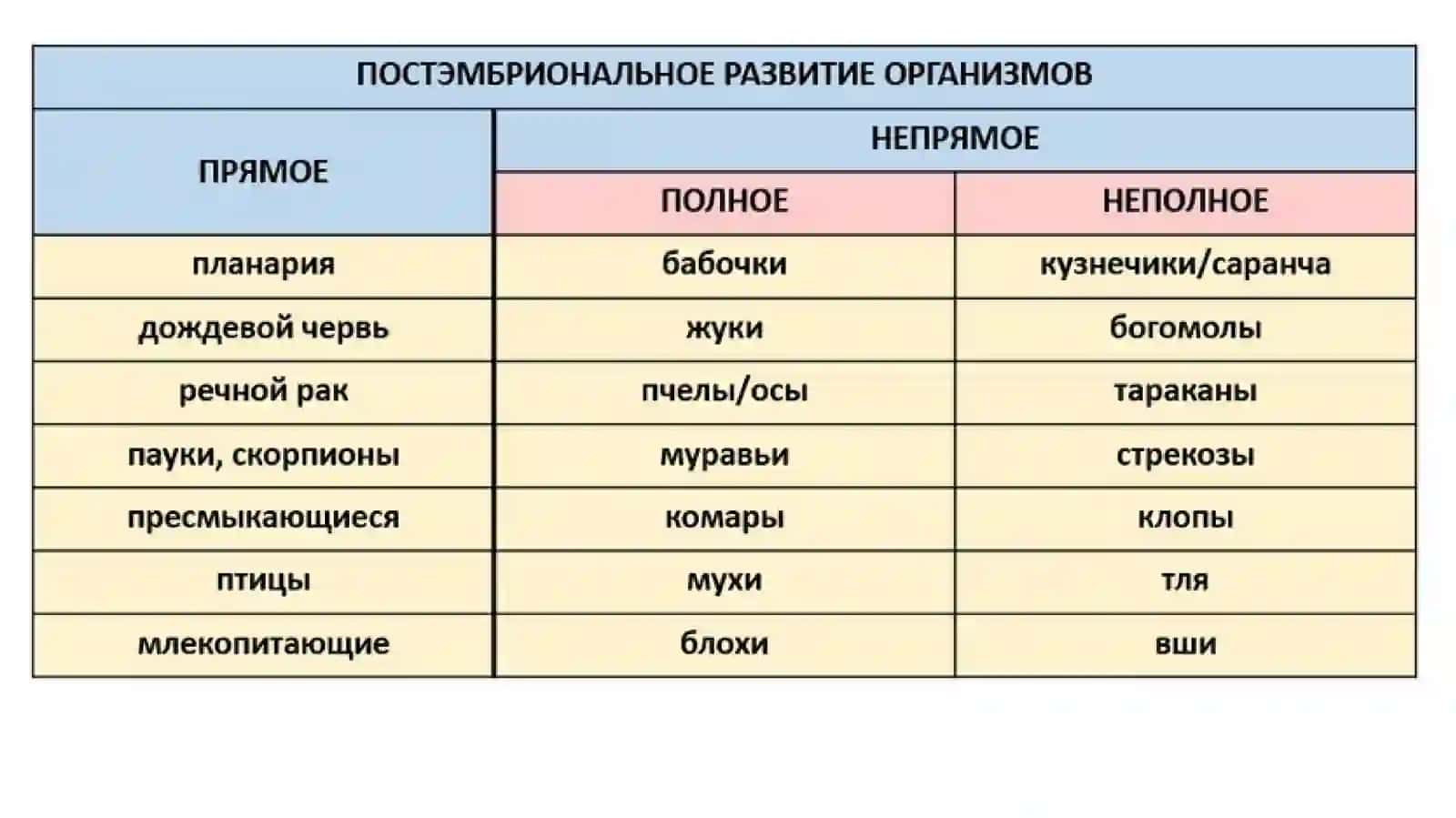 постэмбриональный период 3