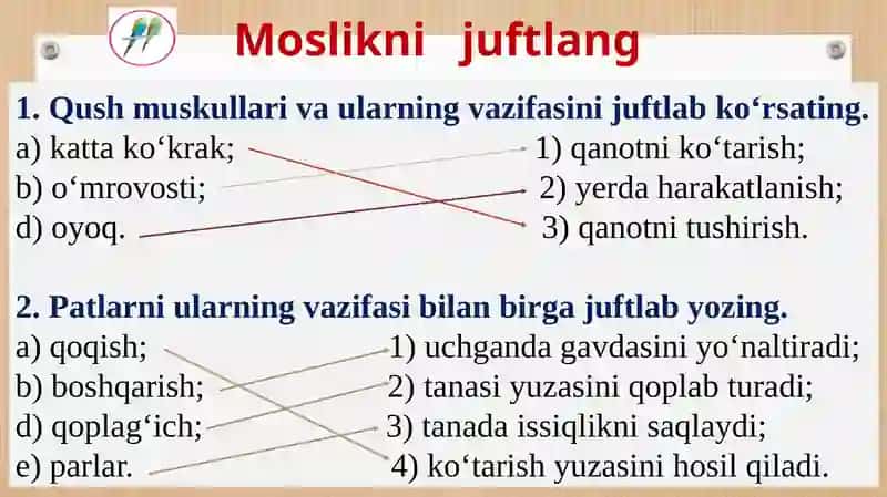 Qushlarning ichki tuzilishi 3