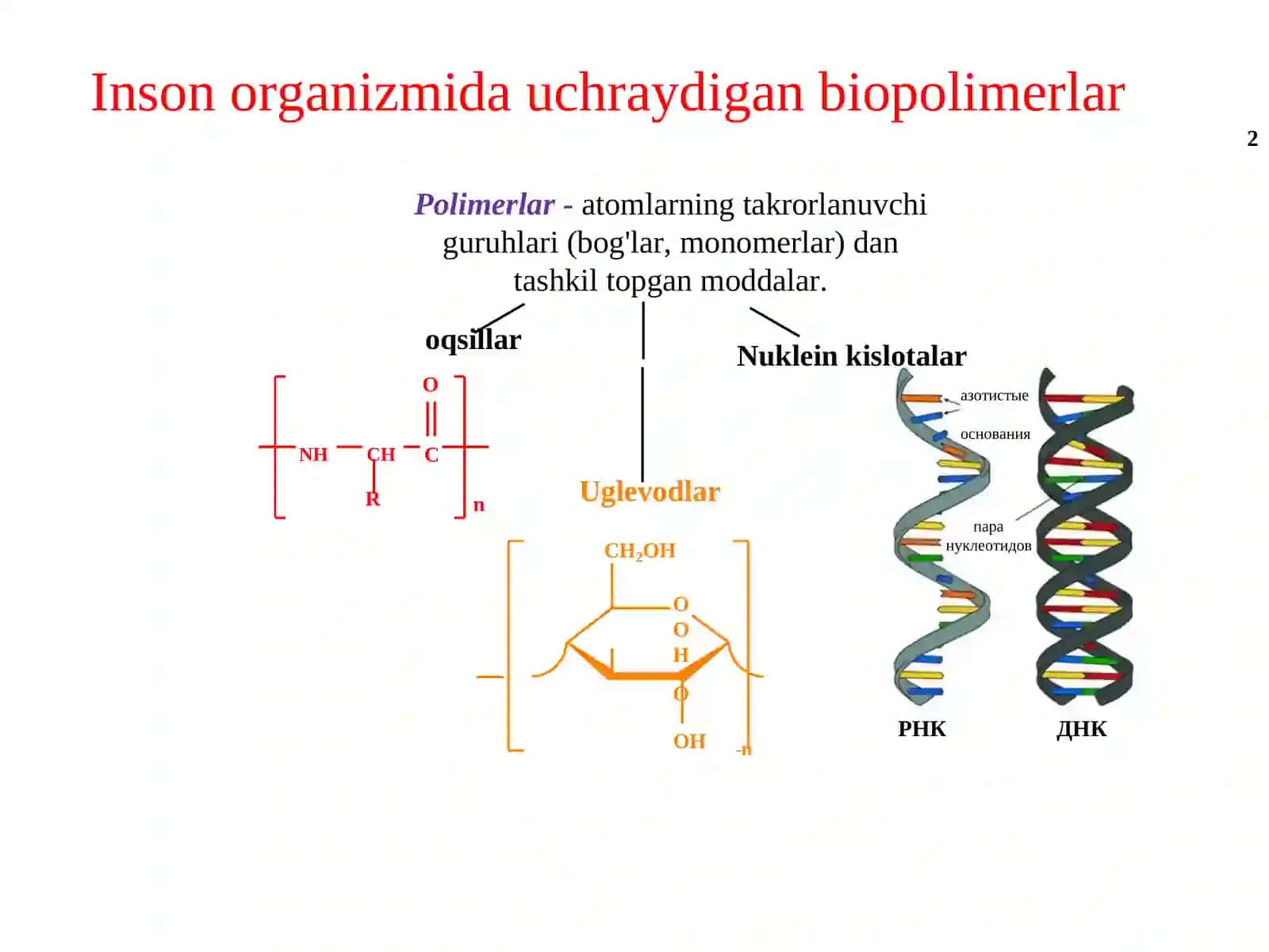 RNK va DNKlarning kimyoviy va tibbiy biologik xossalari 3