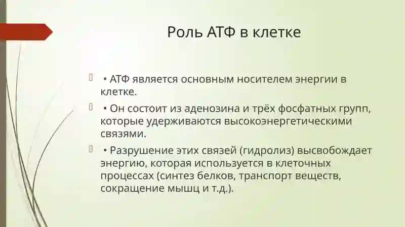 Презентация на тему: Физико-химические основы энергетики клетки 3