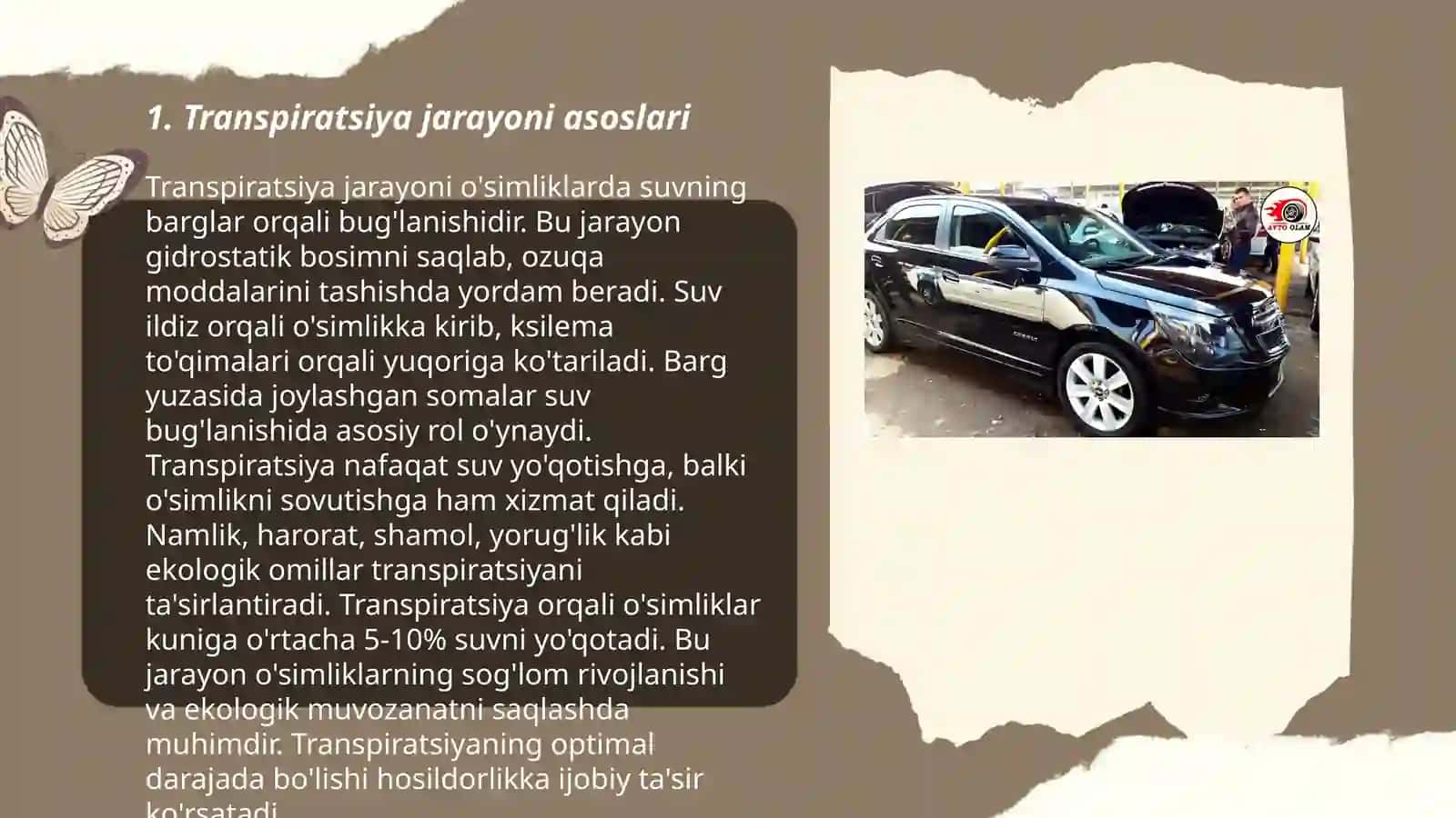 Xlor kobalt usuli bilan transpiratsiya jarayonini aniqlash 3