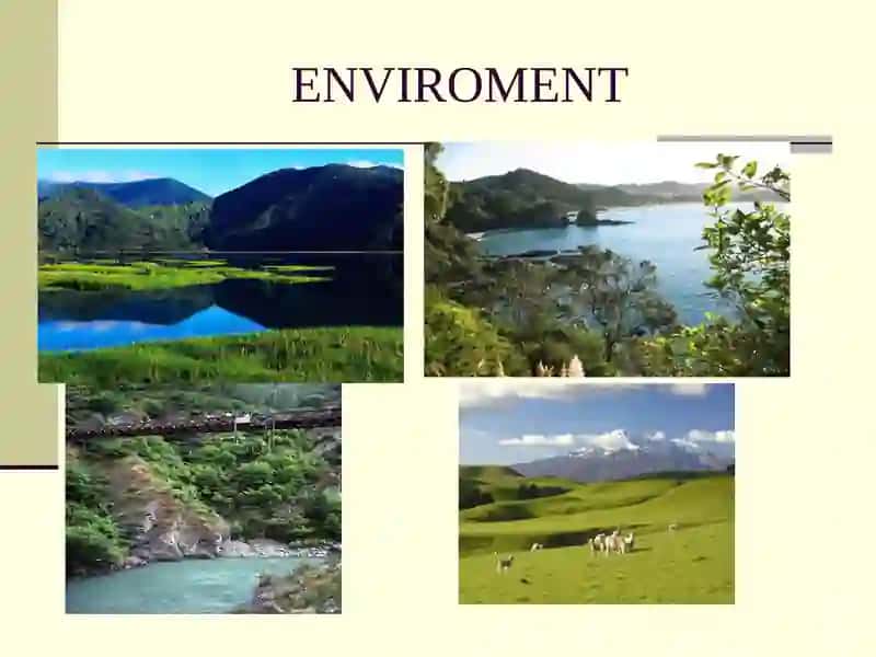 New Zealand 3