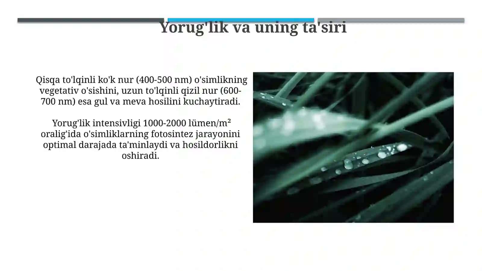 Yorug'lik va uning ta'siri 3