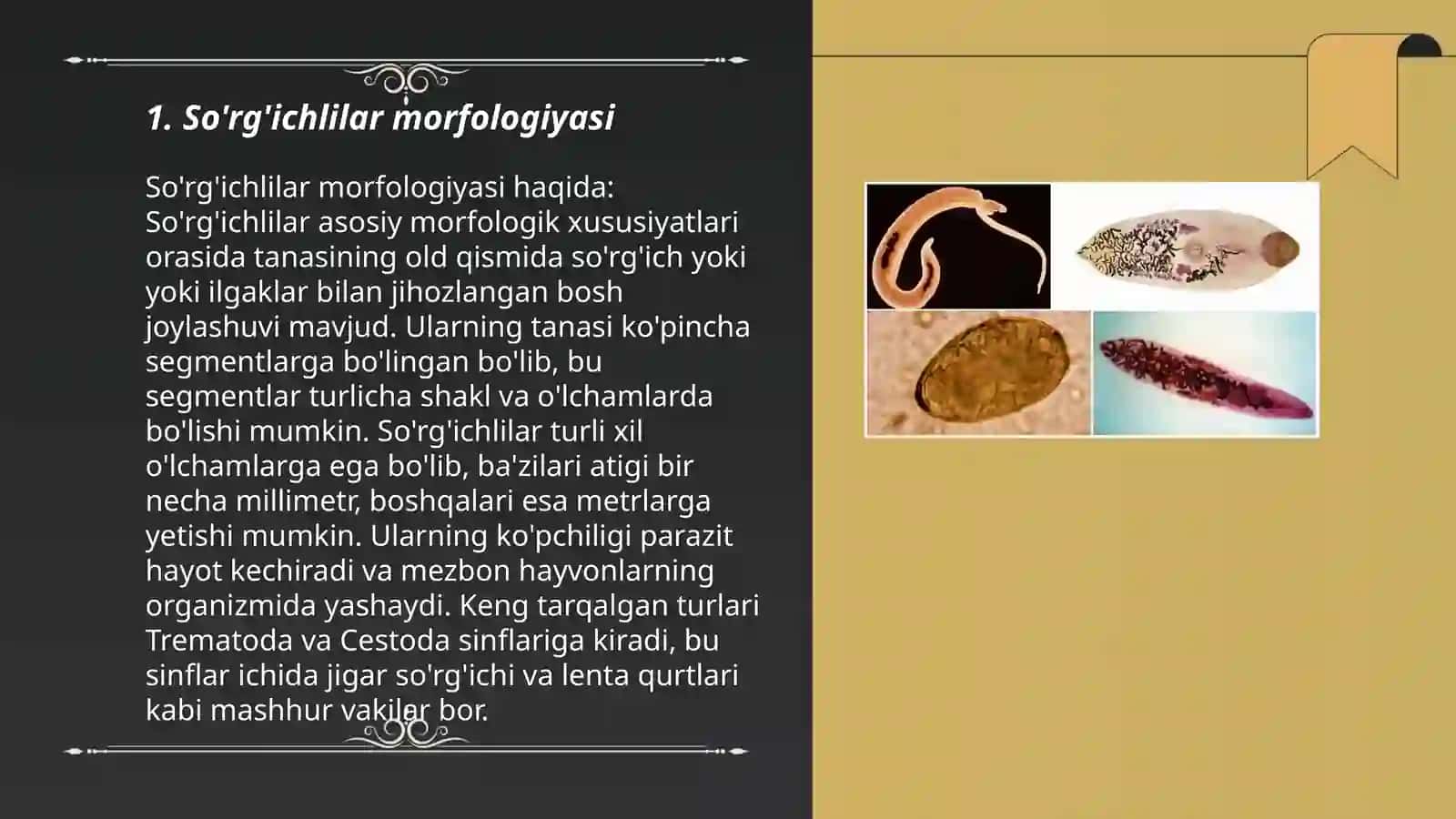 So'rg'ichlilar sinfi (TREMATODES) 3