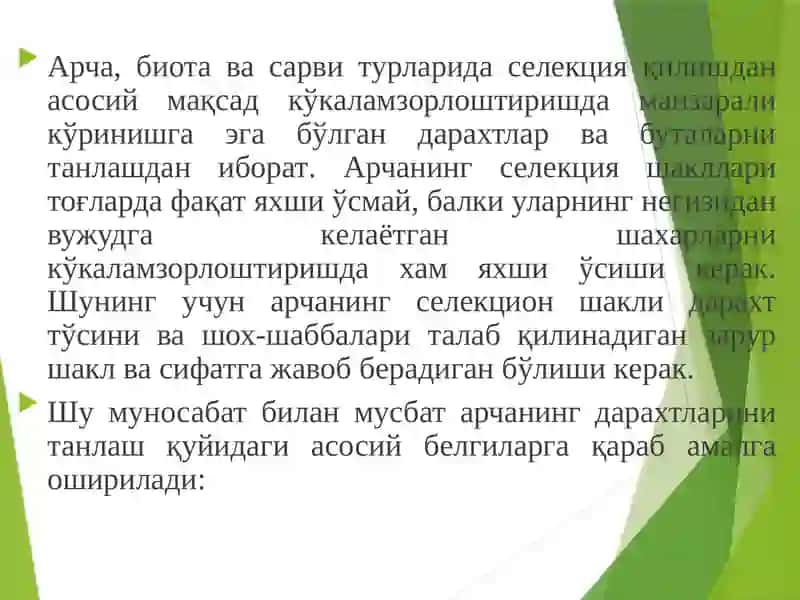 Сарвдошлар оиласи турларининг селекцияси 3