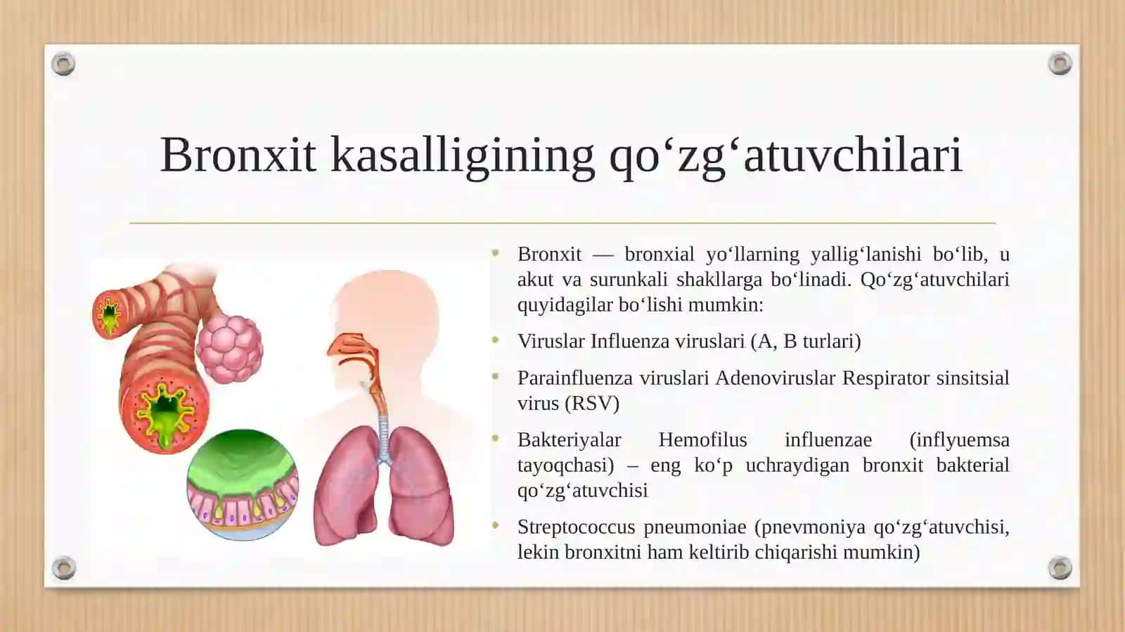 BRONXIT KASALLIGINING QO'ZG'ATUVCHILARI, PATOGENEZ VA LABORATORIYA TASHHISI. GEMOFIL BAKTERIYALARNI (INFLYUEMSA TAYOQCHASI, YUMSHOQ SHANKR QO'ZG'ATUVCHISI) AMALIYOTIDAGI AHAMIYATI TASHHISI 3