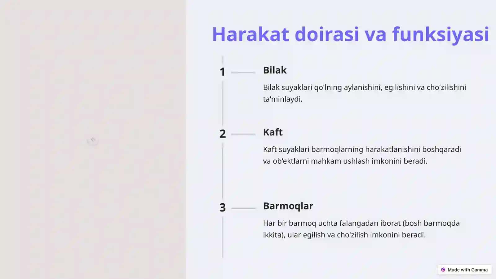 Suyaklar guruhi 3