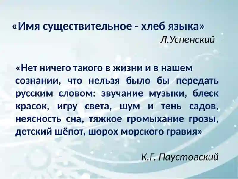 Имя существительное как часть речи 3