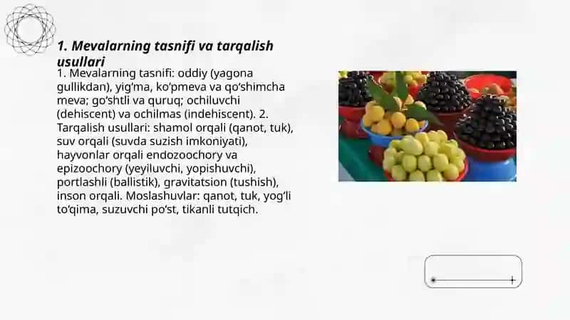 Mevalar va ularning tarqalishi 3