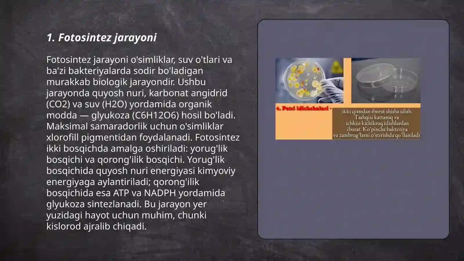 Fotosintez jarayoni 3