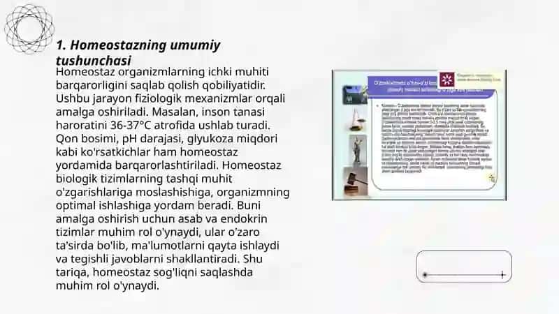 Goemeostazni boshqarish mexanizmlari 3