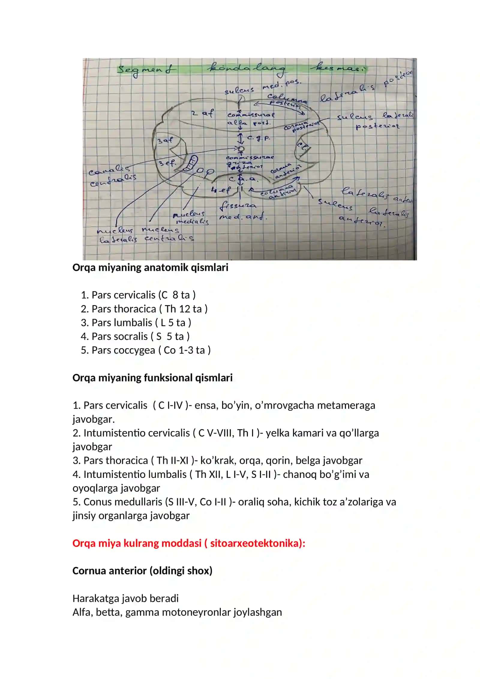 Nevrologiya va asab tizimi 3