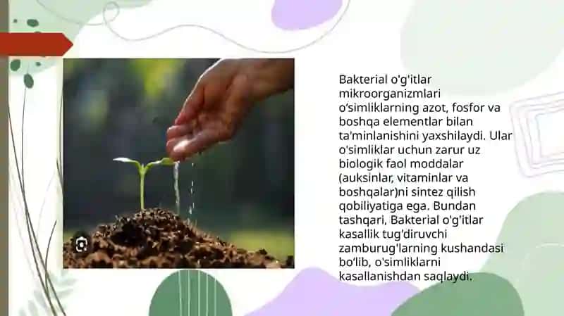 Bakteriologik o‘g‘itlar va ularning qo‘llanilishi 3