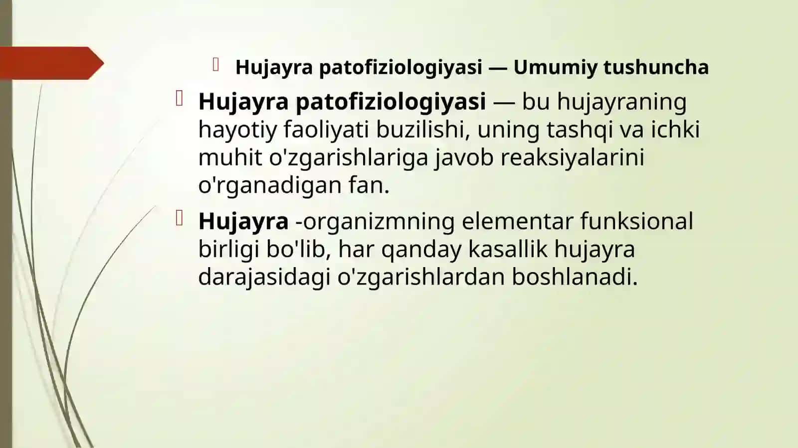 HUJAYRA PATOFIZIOLOGIYASI 3