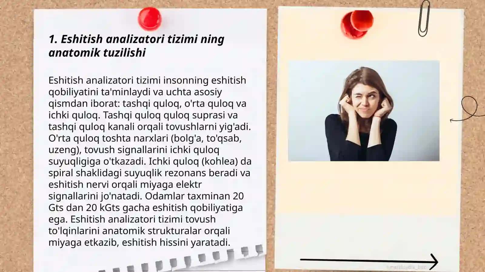 Eshitish analizatori tizimi 3