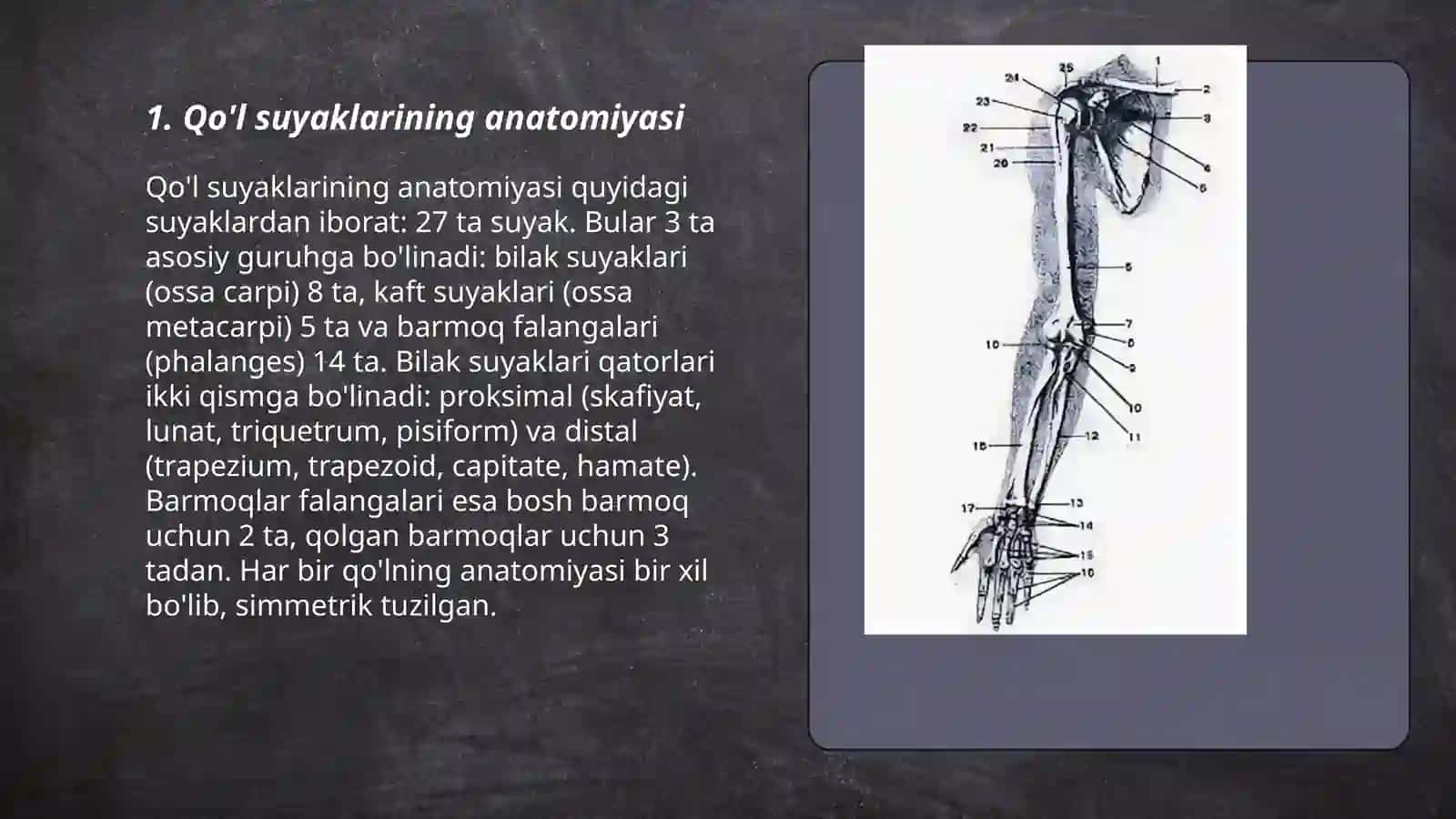 qo’l suyaklari birlashuvi 3