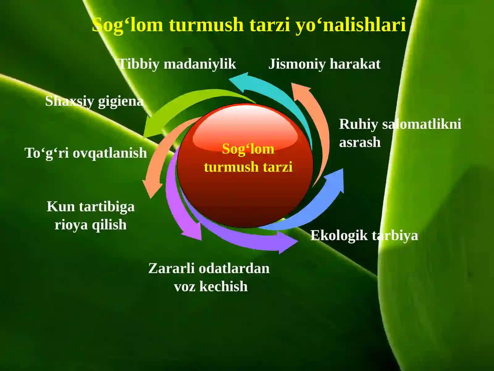 Sog‘lom turmush tarzi 3