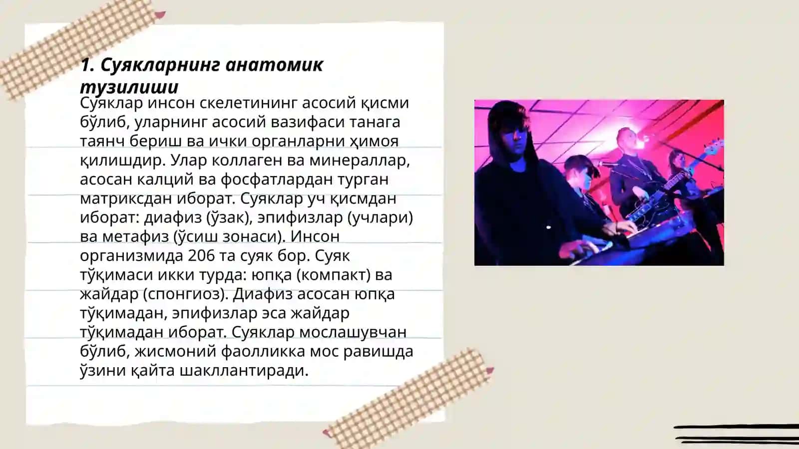Суякларнинг тузилмаси 3