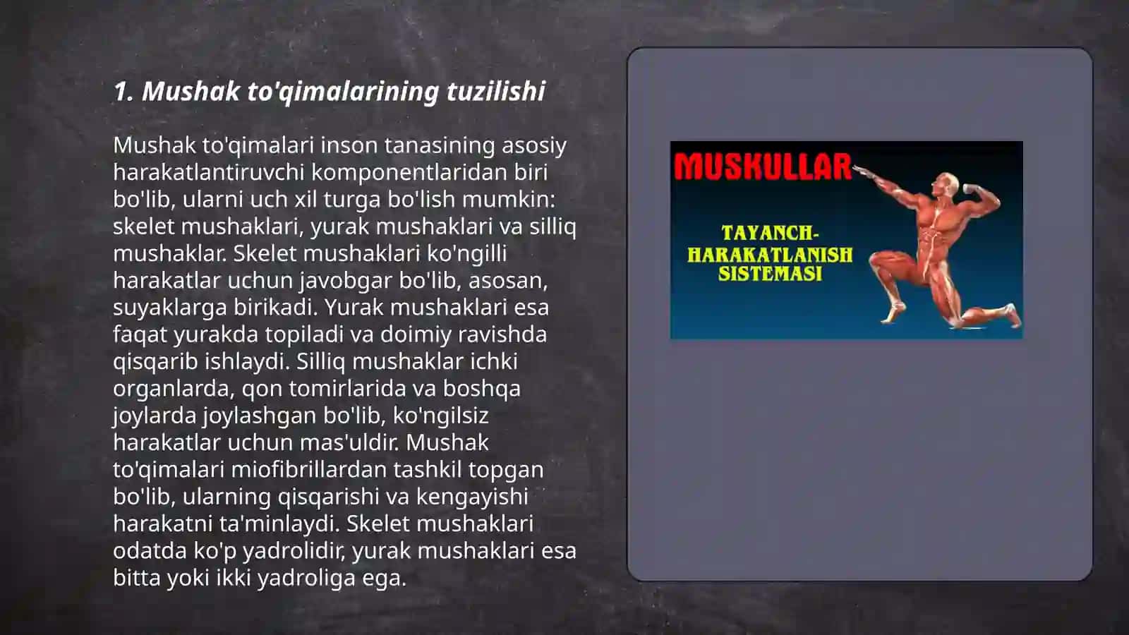 Mushaklar fiziologiyasi 3