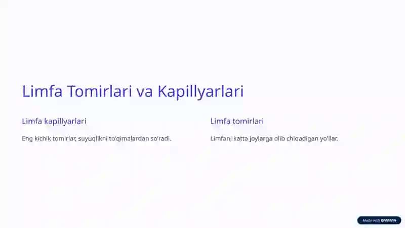 Limfa Sistemasi Anatomiyasi 3