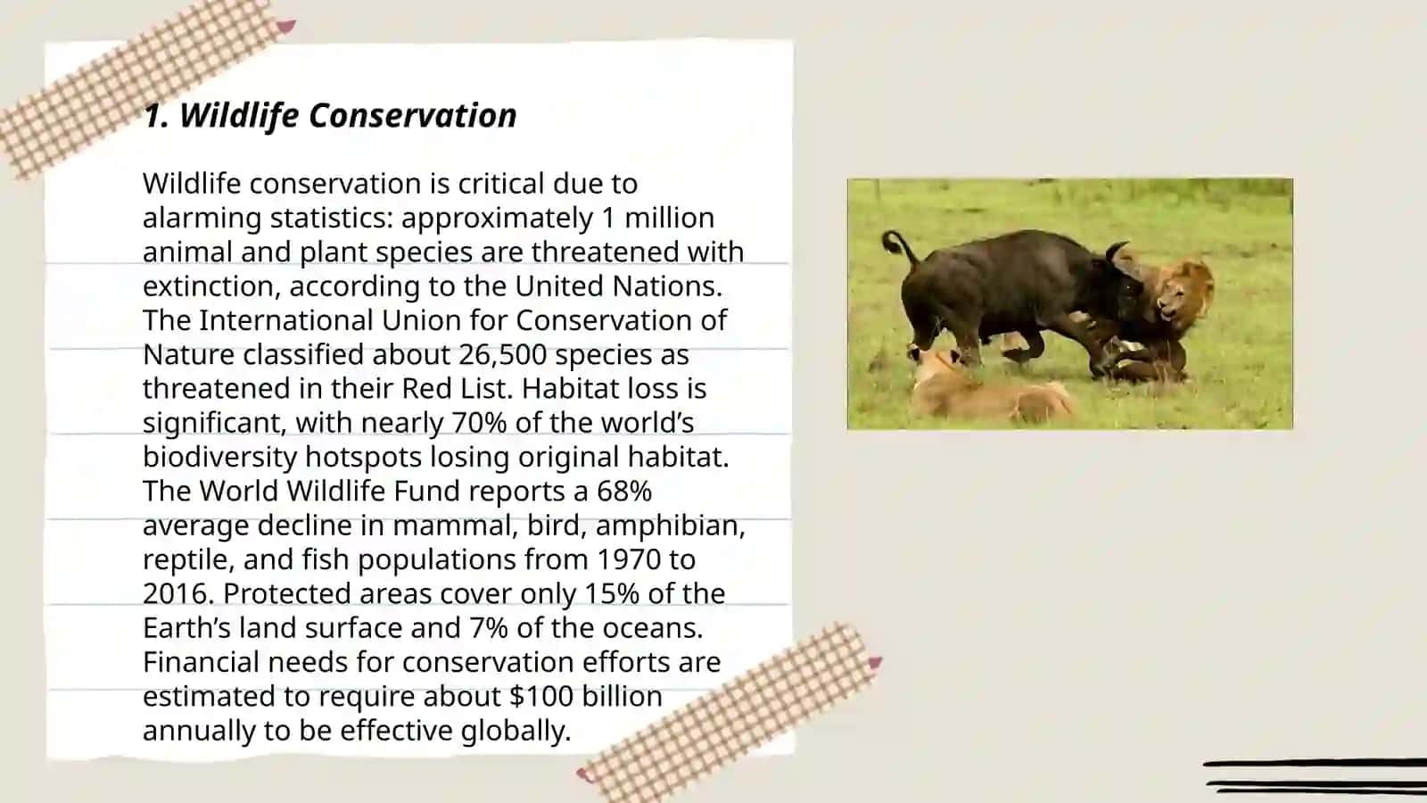 Protecting animals 3