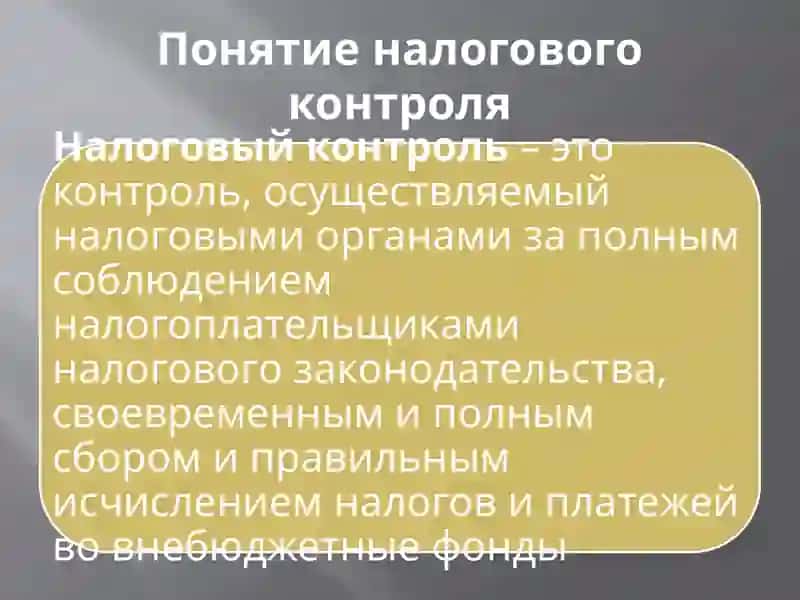 Формы налогового контроля 3