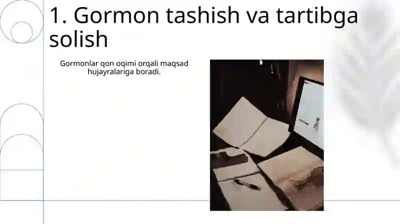 Endokrin bezlar fiziologiyasi 3