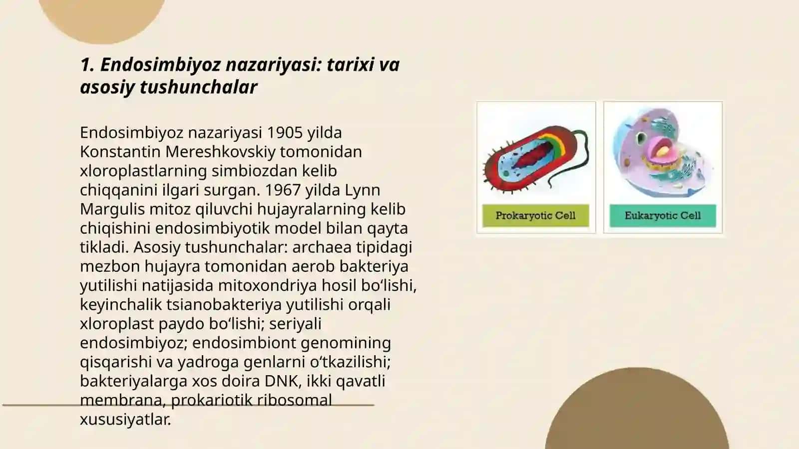 Eukariotlar ularning kelib chiqishi to'g'risidagi nazarya 3