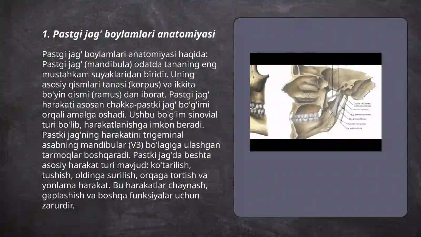 Pastgi jag’ boylamlari anatomiyasi 3