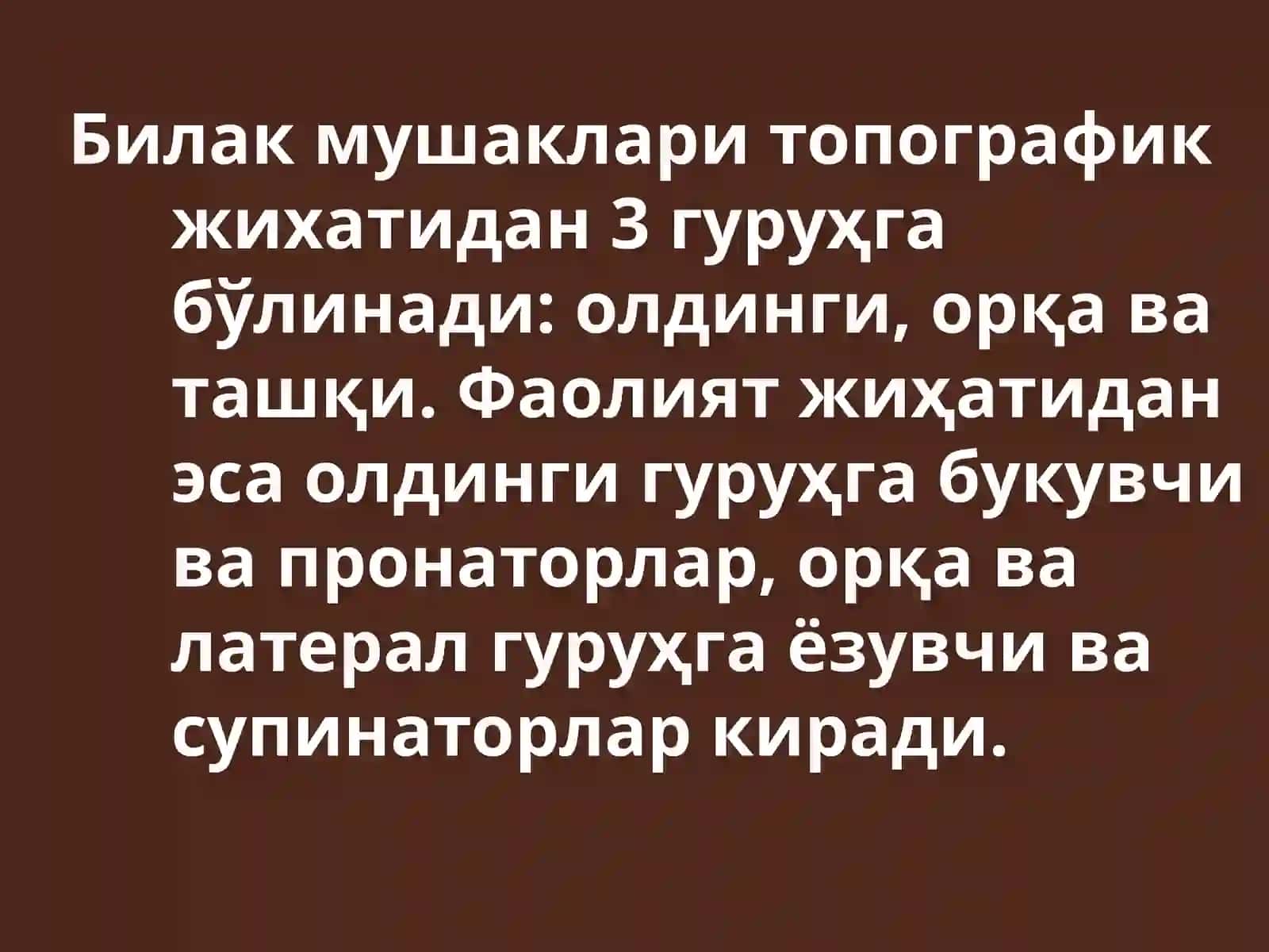 Билак мушаклари 3