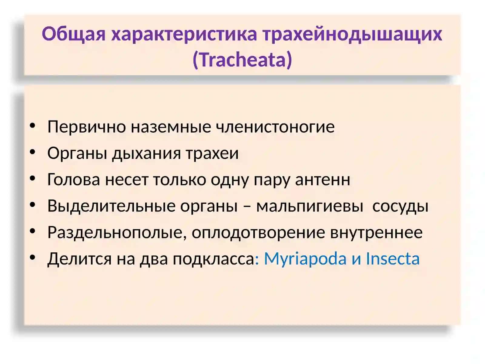 Класс Многоножки (Myriapoda) 3