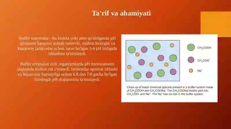 Buffer sistemalar 3