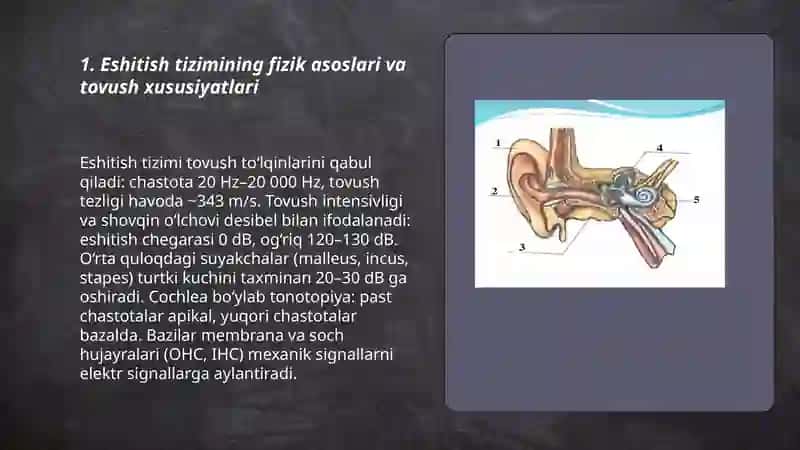 Eshitish sistemasining fizik hususiyatlari 3
