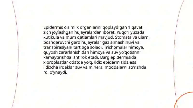 O'simliklarning qoplovchi to'qimasi 3