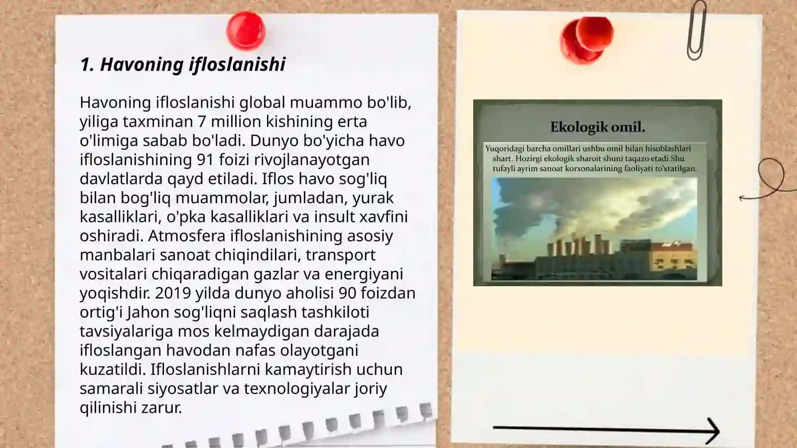 Ekologik muammolar va uning atrof-muhitga ta'siri 3