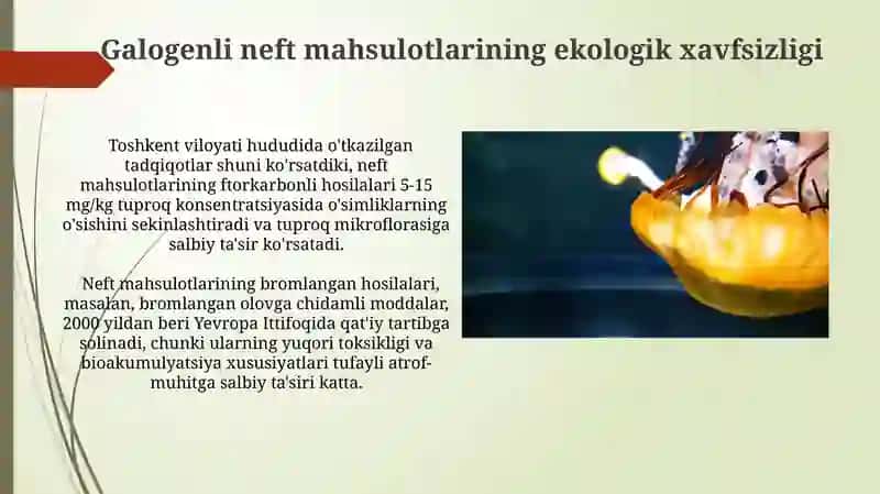 Galogenli neft mahsulotlarining ekologik xavfsizligi 3