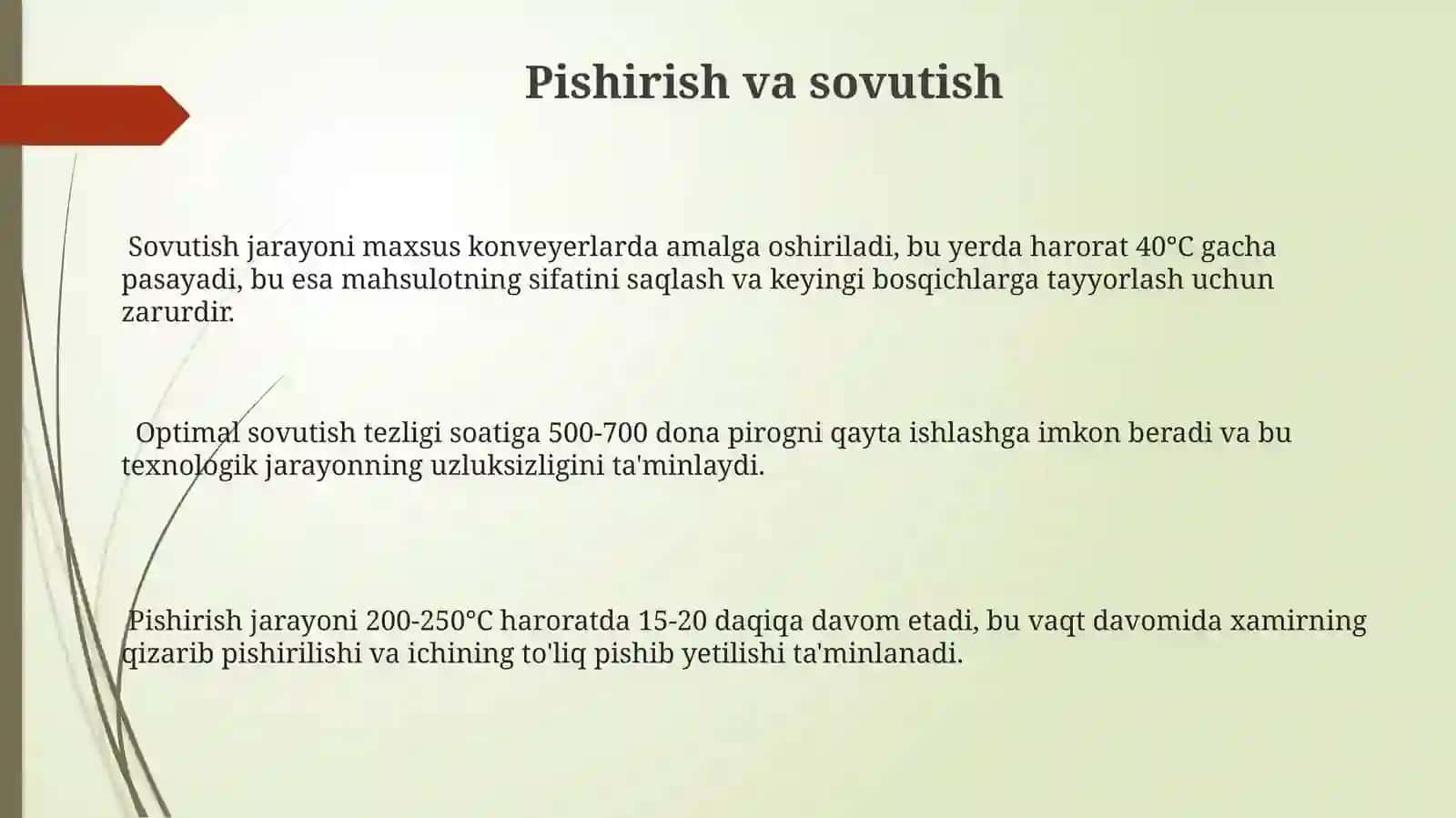 Pirojniy ishlab chiqarish liniyasi 3