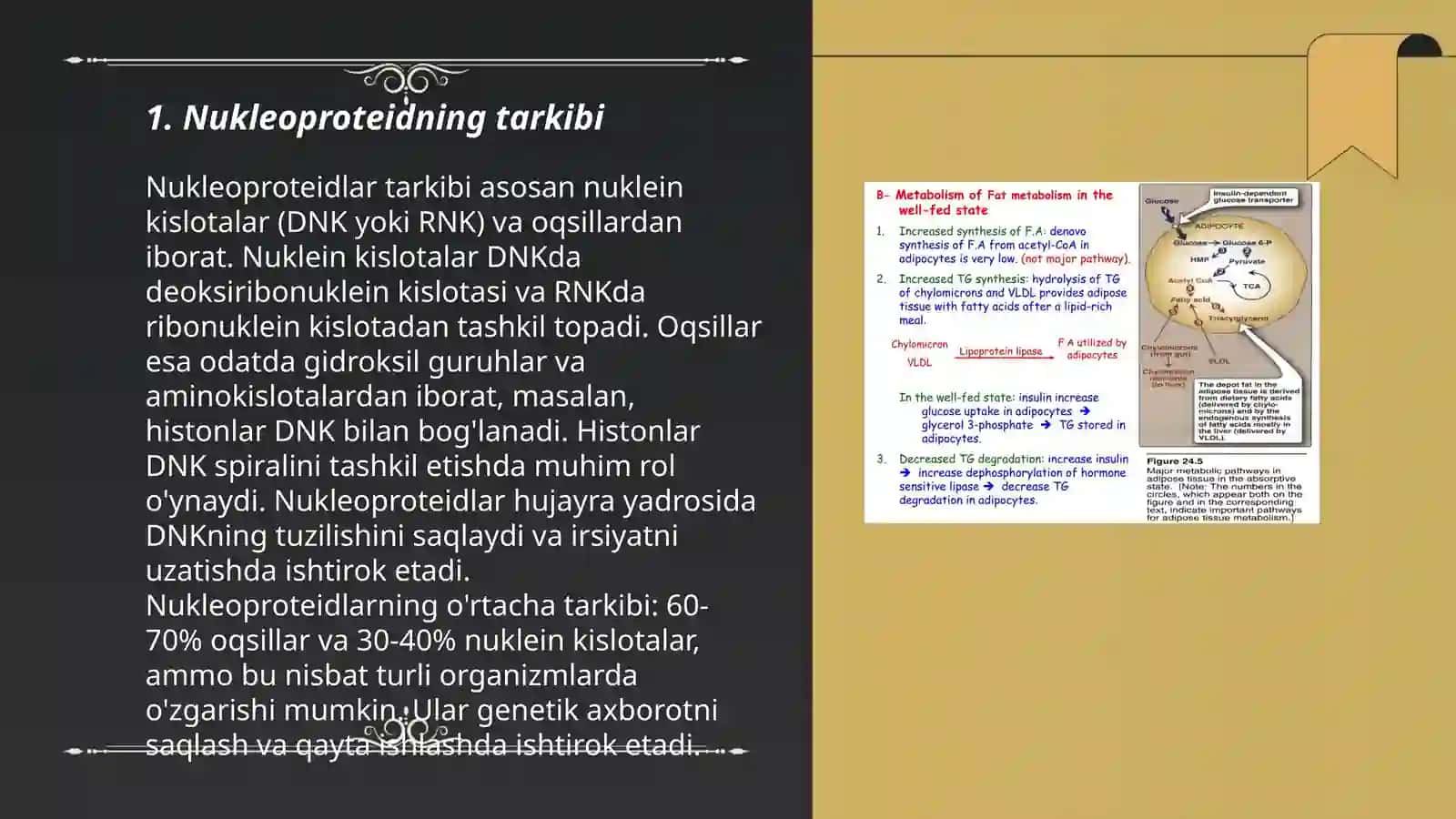 Nukleoproteidlar almashinuvi 3