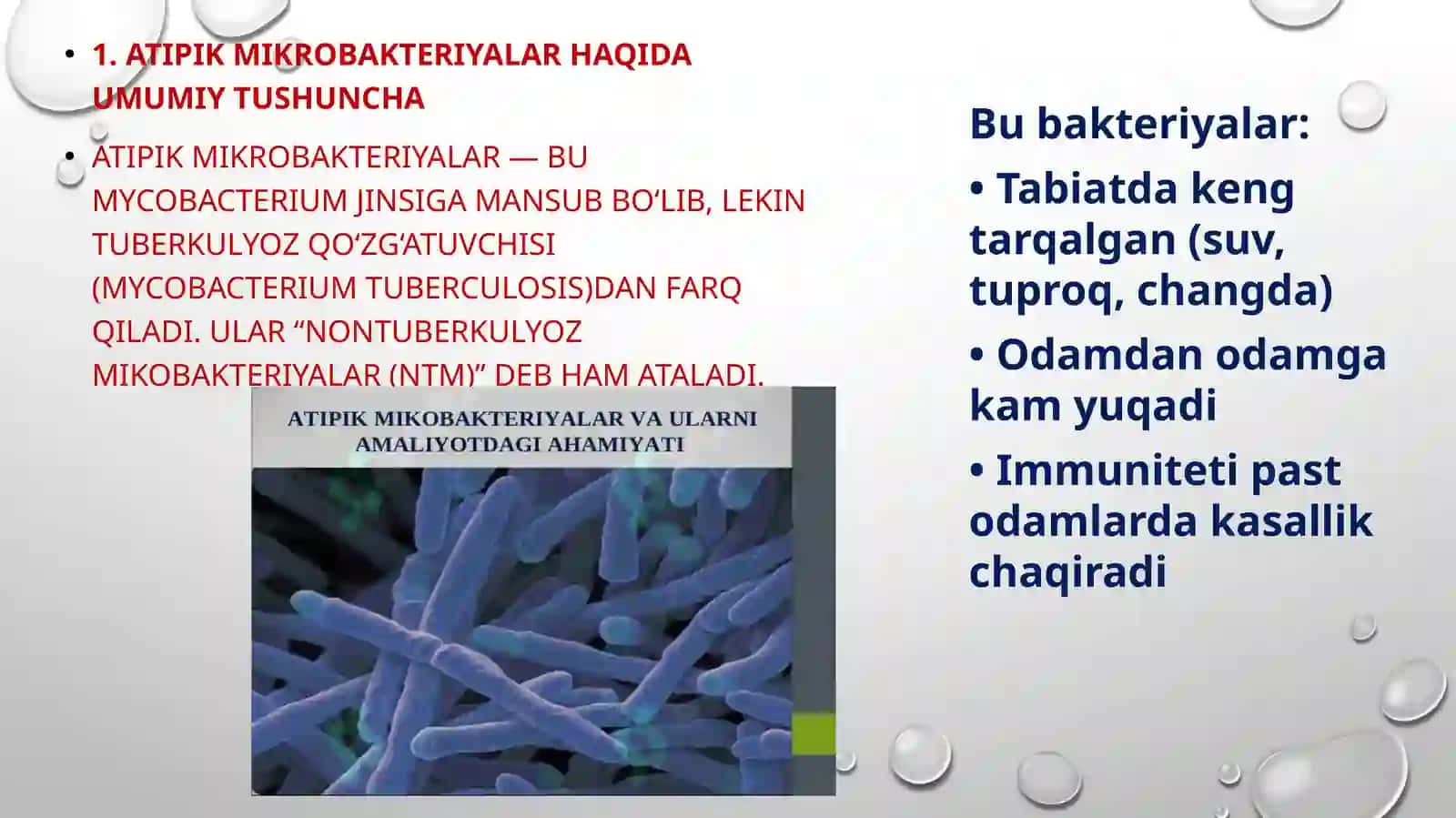 Atipik mikrobakteriyalar va ularning amaliyotdagi ahamiyati 3