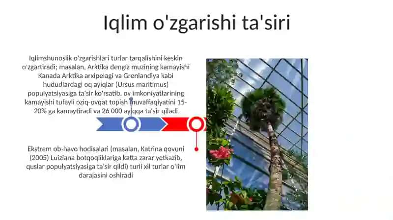 Oʻsimlik va hayvonot dunyosi 3