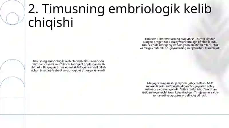 Timusdagi T-Limfositlarning Yetilish Jarayoni 3