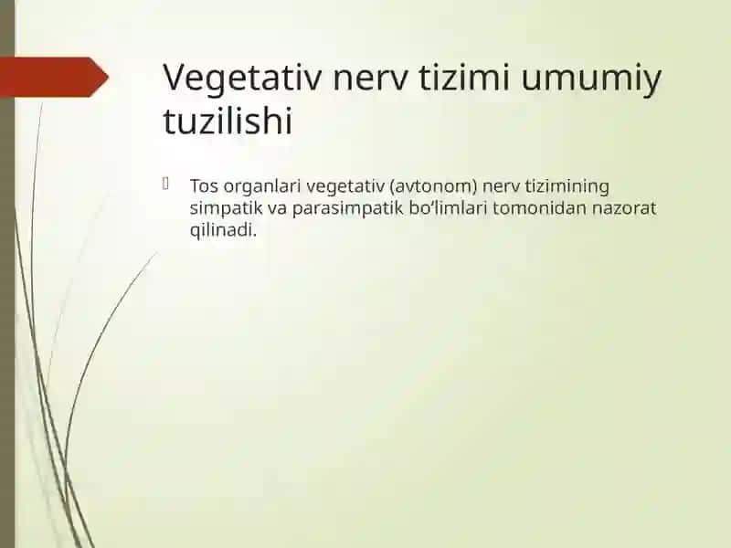 Tosorganlarining innervatsiyasi va buzilish sindromlari 3